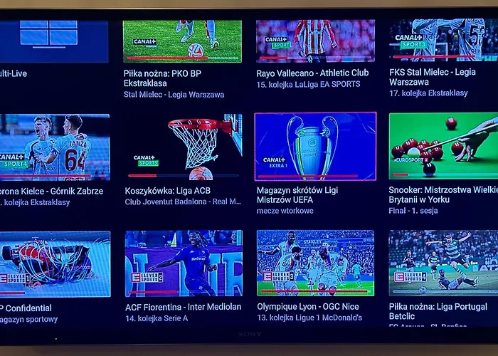 Lina Koralowa Samodzielne Zameldowanie Self Check-in