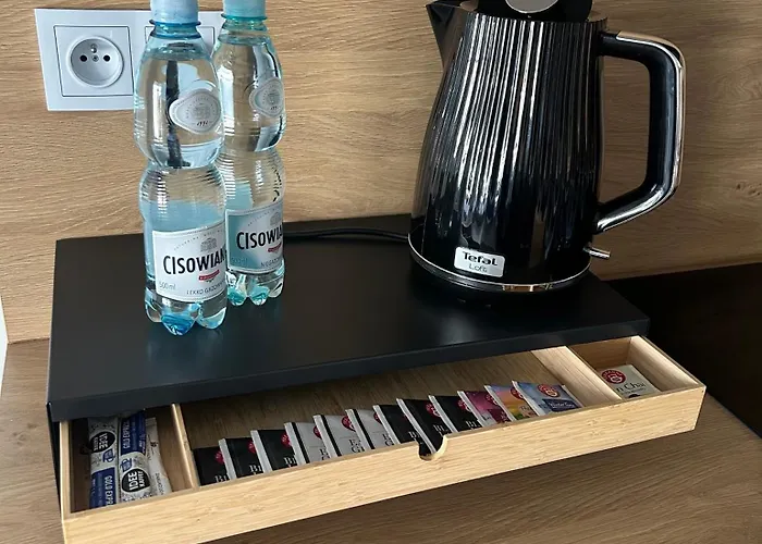 Lina Koralowa Samodzielne Zameldowanie Self Check-in